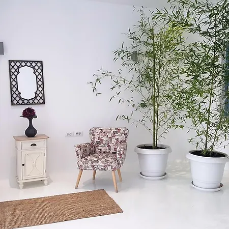 Hotel Cava Boutique *